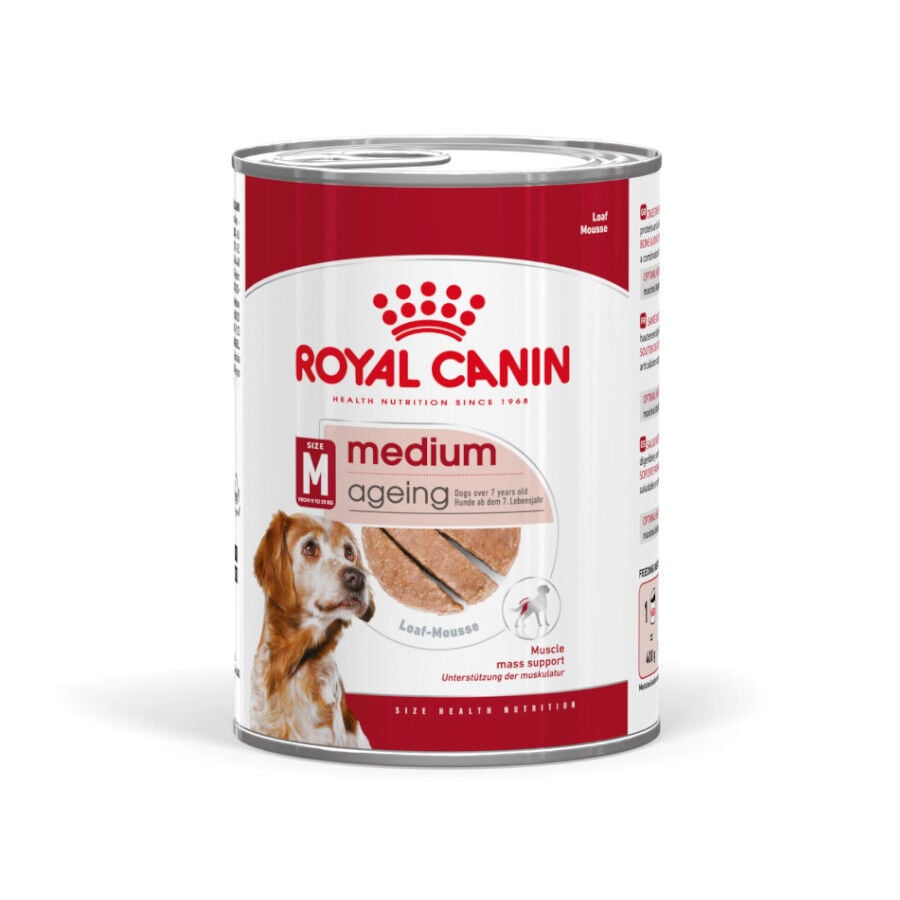 Royal Canin Medium 7+ Ageing lata para cães, , large image number null